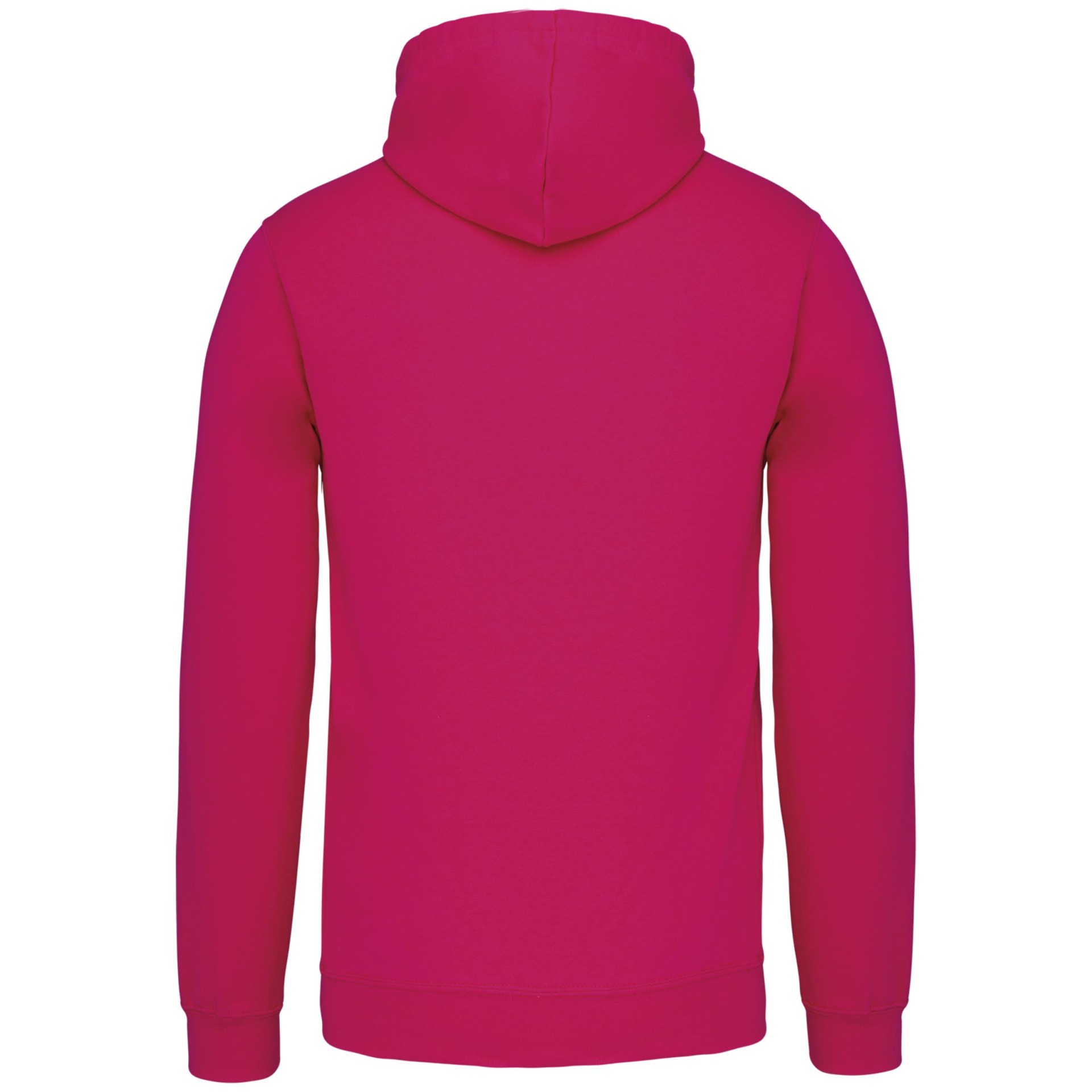 Sweatshirt com capuz em contraste - K446