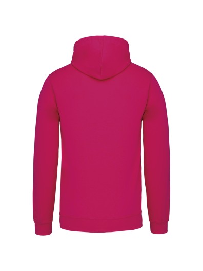 Sweatshirt com capuz em contraste - K446