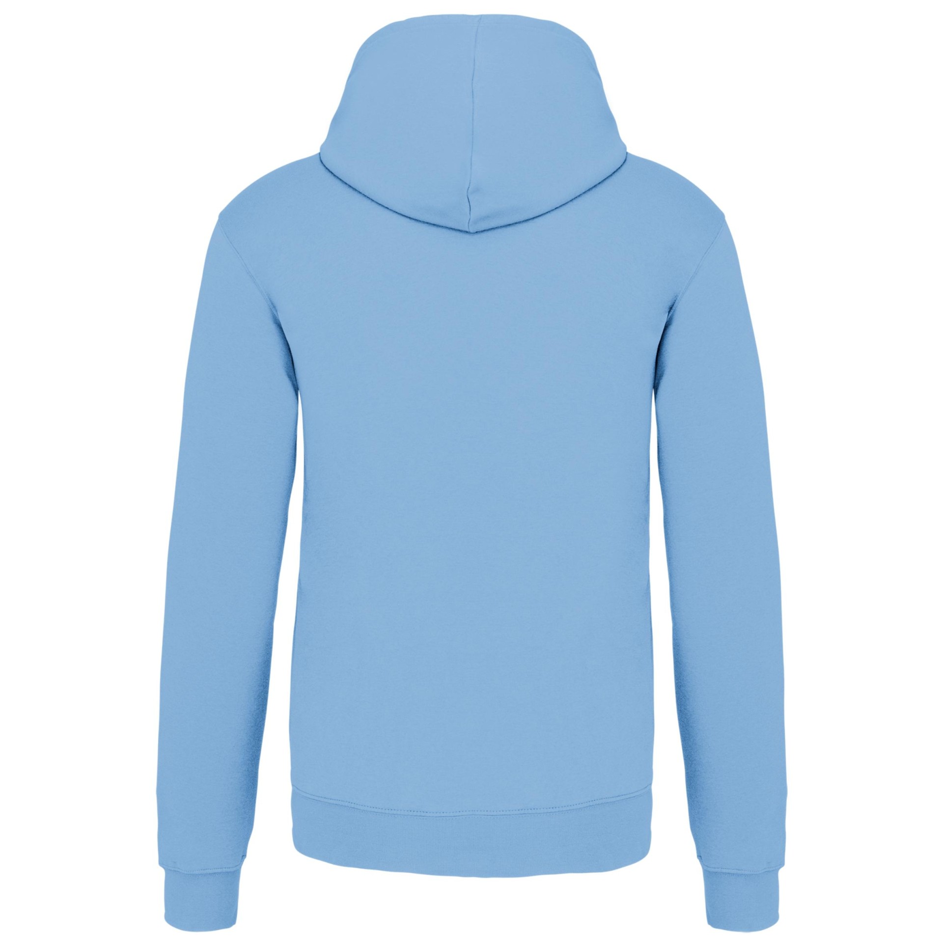 Sweatshirt com capuz em contraste - K446