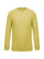 Sweatshirt BIO com decote redondo e mangas raglan - K480C