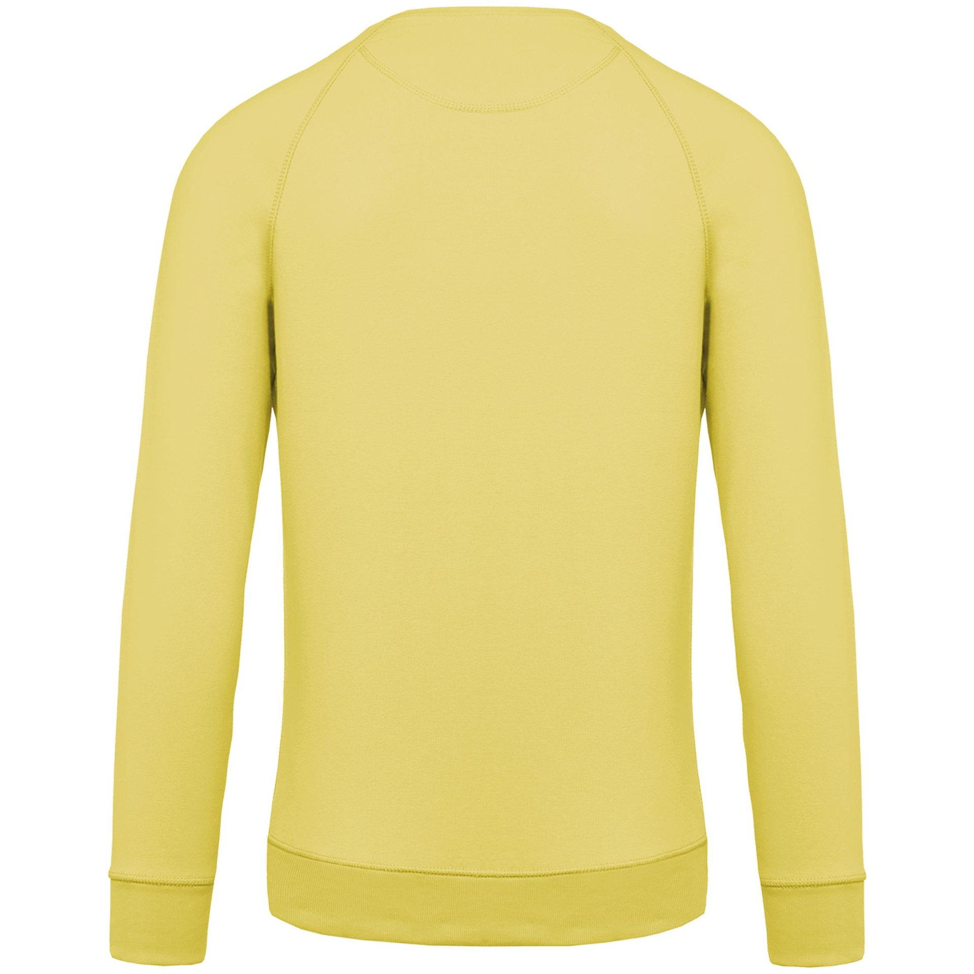 Sweatshirt BIO com decote redondo e mangas raglan - K480C