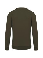 Sweatshirt BIO com decote redondo e mangas raglan - K480C