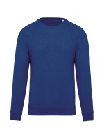 Sweatshirt BIO com decote redondo e mangas raglan - K480A
