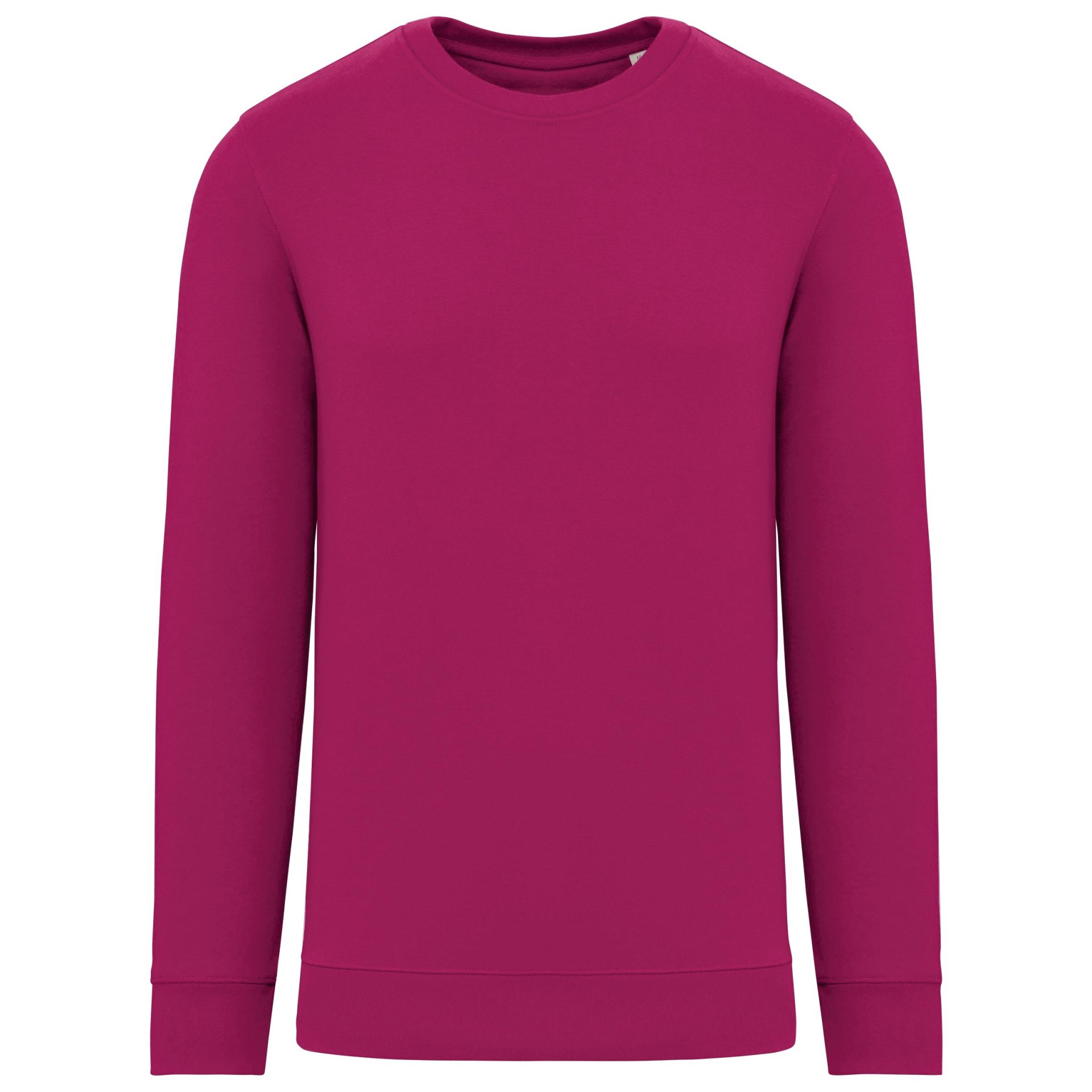 Sweatshirt ECO - NS400