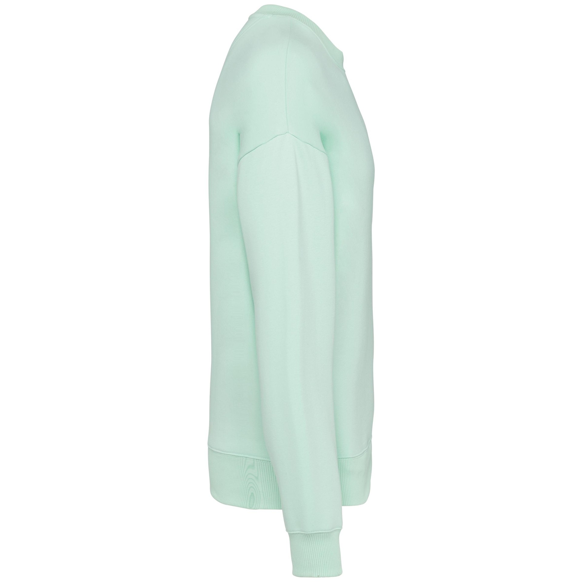 Sweatshirt ECO - NS407