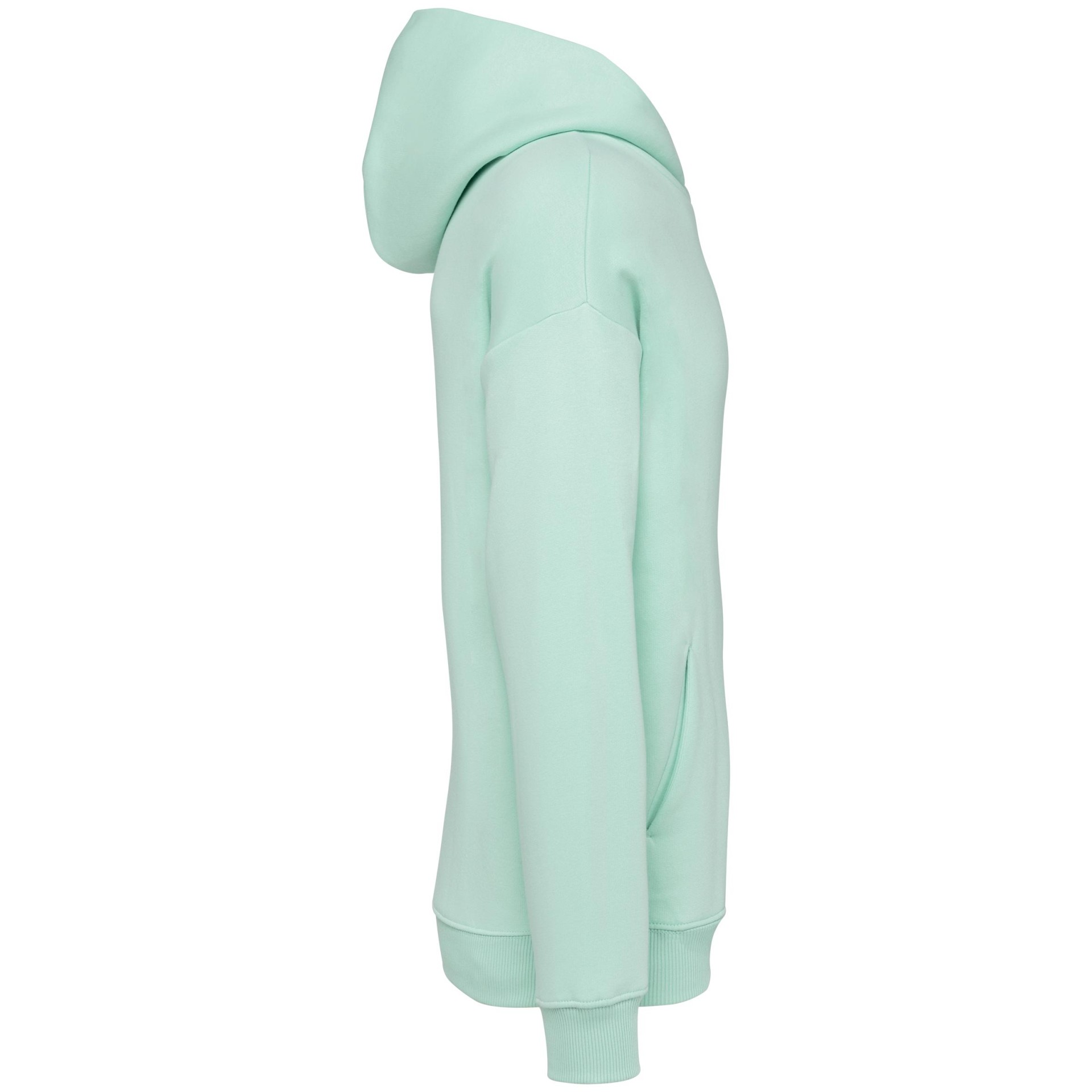 Sweatshirt ECO - NS408