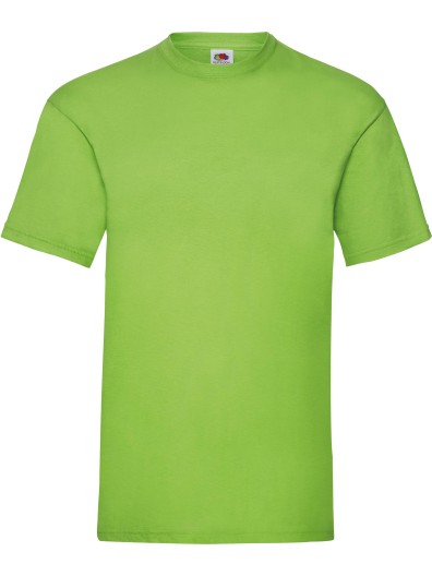 T-shirt VALUEWEIGHT - SC221C