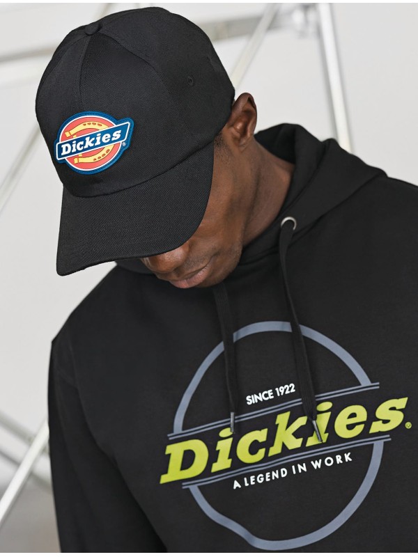 Bon DICKIES - DK0A4XS1