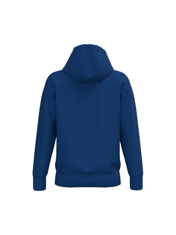 Sweatshirt com capuz